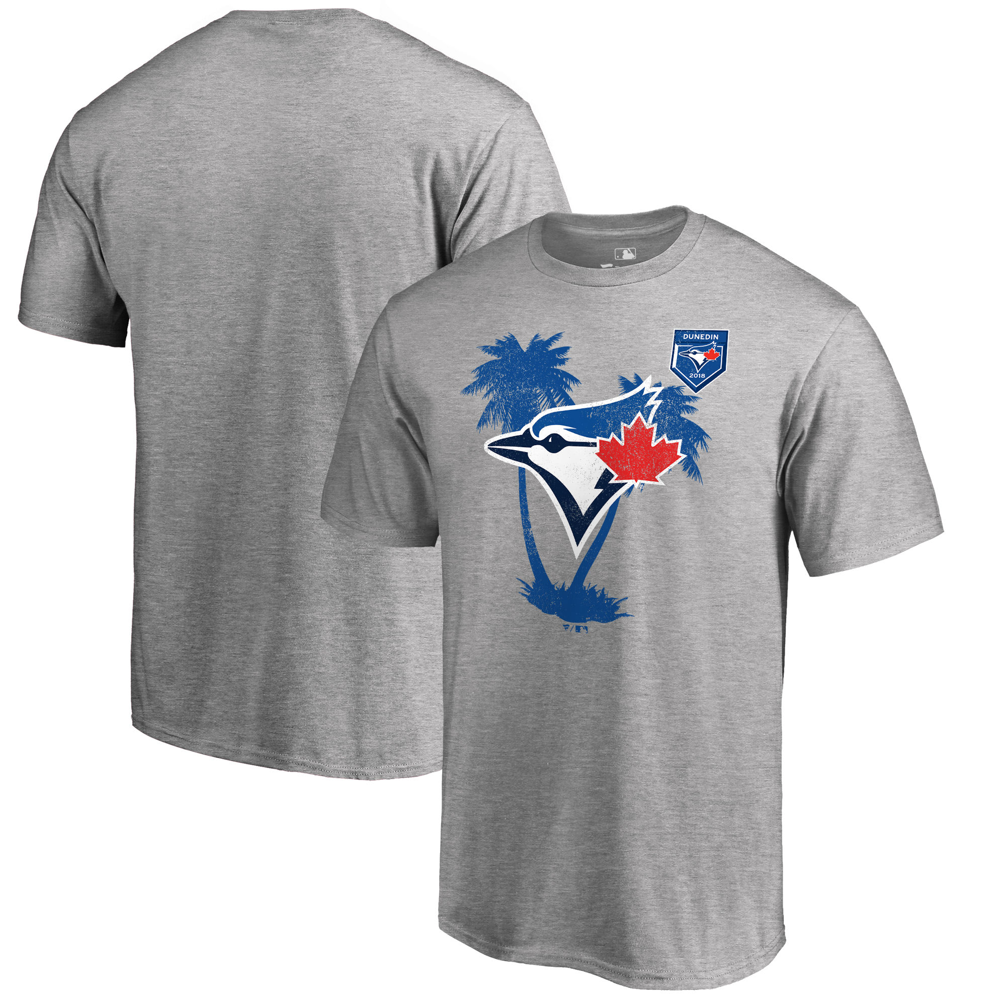 Men's Toronto Blue Jays Fanatics Branded 2018 MLB Spring Training Vintage T-Shirt ?C Heather Gray